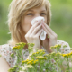 Allergy treaten for your health
